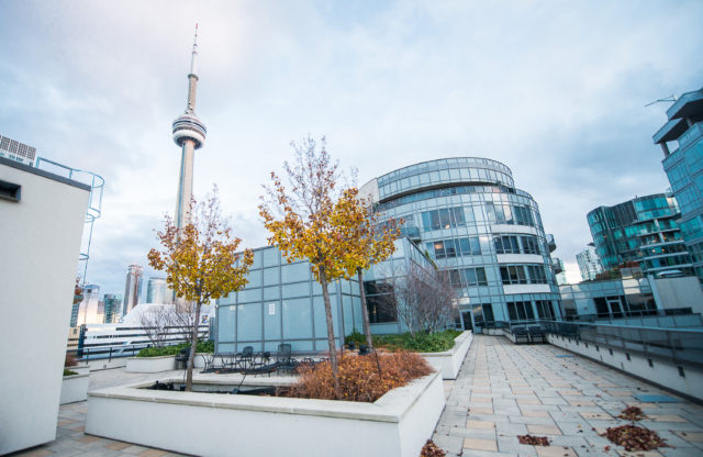 Toronto Blue Jays Suite Rentals